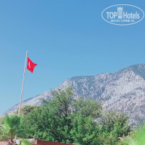 фото из отзыва ID 2223223