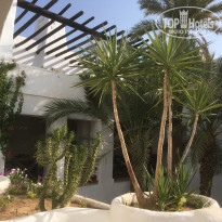 фото из отзыва ID 2223212