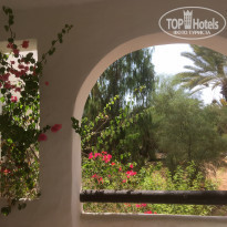 фото из отзыва ID 2223212