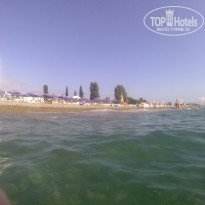 фото из отзыва ID 2223225