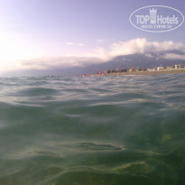 фото из отзыва ID 2223225