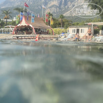 фото из отзыва ID 2223380