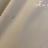 фото из отзыва ID 2223464