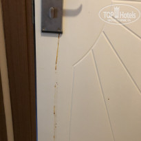 фото из отзыва ID 2223464