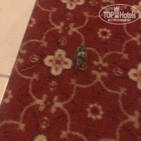 фото из отзыва ID 2223464