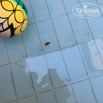 фото из отзыва ID 2223464