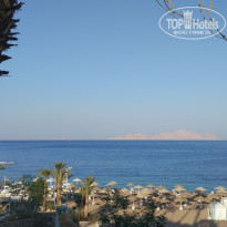 фото из отзыва ID 2223544