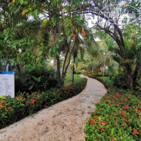 фото из отзыва ID 2223569