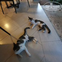 фото из отзыва ID 2223569