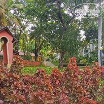 фото из отзыва ID 2223569