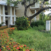 фото из отзыва ID 2223569