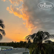 фото из отзыва ID 2223540