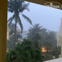 фото из отзыва ID 2223612