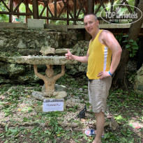 фото из отзыва ID 2223612