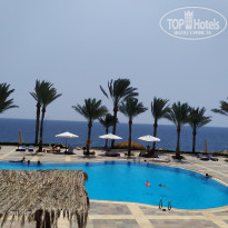 фото из отзыва ID 2223710