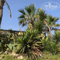 фото из отзыва ID 2223746