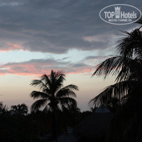 фото из отзыва ID 2223863