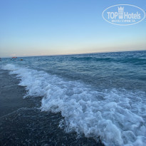 фото из отзыва ID 2223864