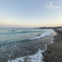 фото из отзыва ID 2223864