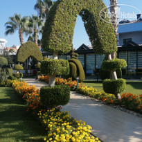 фото из отзыва ID 2223872