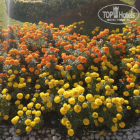 фото из отзыва ID 2223872