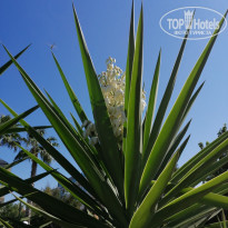 фото из отзыва ID 2223872