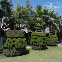 фото из отзыва ID 2223872