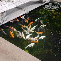 фото из отзыва ID 2223915