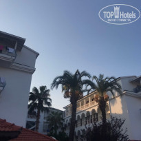 фото из отзыва ID 2224133