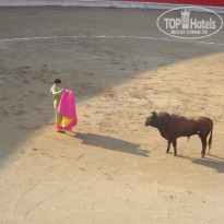 фото из отзыва ID 2220052