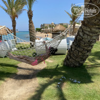 фото из отзыва ID 2224303