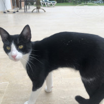 фото из отзыва ID 2224307