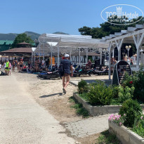 фото из отзыва ID 2224302