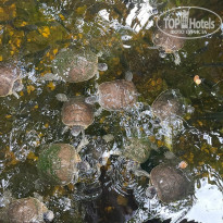 фото из отзыва ID 2224306