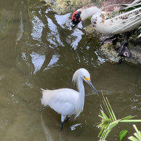 фото из отзыва ID 2224306