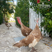 фото из отзыва ID 2224306