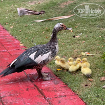 фото из отзыва ID 2224306