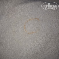 фото из отзыва ID 2223996