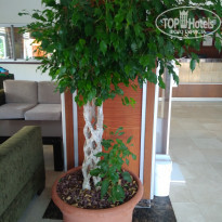 фото из отзыва ID 2224476