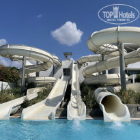 фото из отзыва ID 2224552