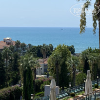 фото из отзыва ID 2224666