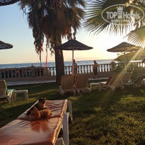 фото из отзыва ID 2224671