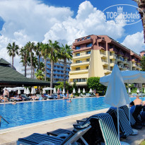 фото из отзыва ID 2224707