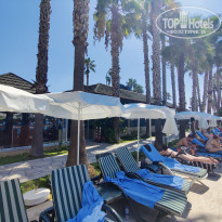 фото из отзыва ID 2224707