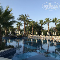 фото из отзыва ID 2224754