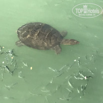 фото из отзыва ID 2224754