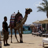 фото из отзыва ID 2224771