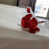 фото из отзыва ID 2224821
