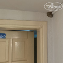 фото из отзыва ID 2224829