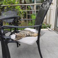 фото из отзыва ID 2224928